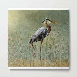 Great Blue At The Beach Metal Print