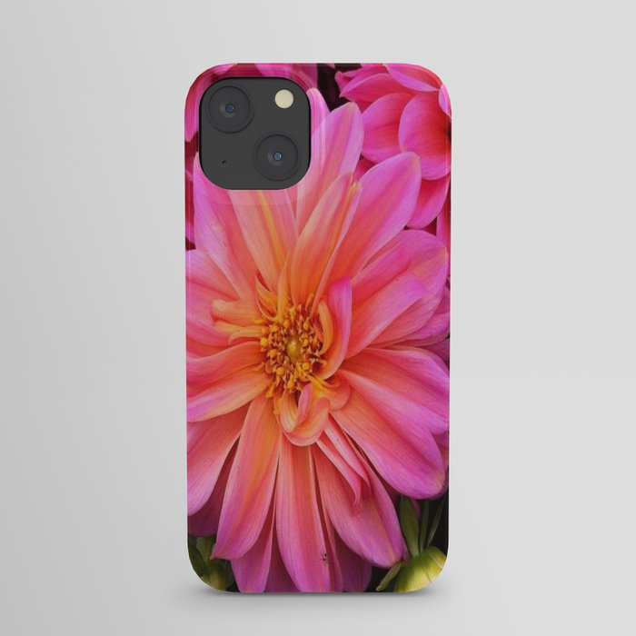 Natural Beauty iPhone Case