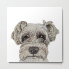 Rescue Dog series, Schnauzer mix, Kole by miart Metal Print | Gift, Painting, Puppy, Cute, Art, Pups, Miart, Pet, Acrylic, Fluffy 