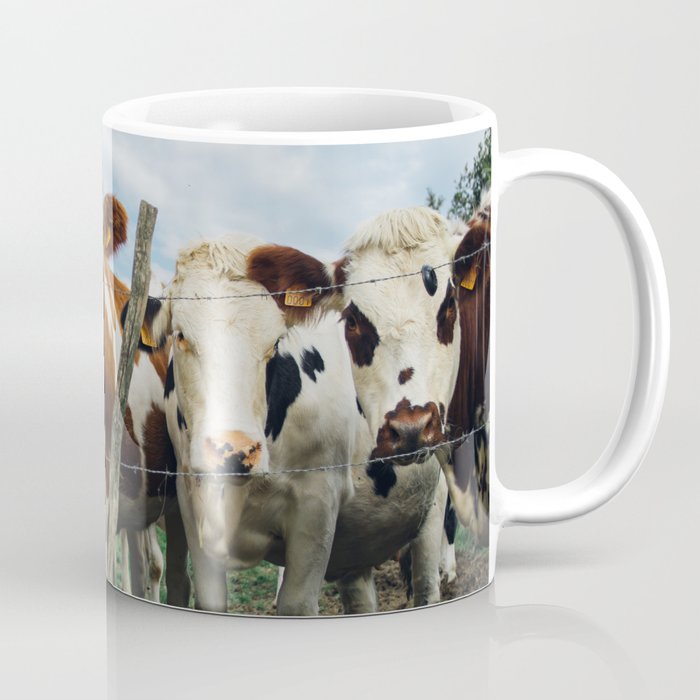 The Girls - Herd of Cows - Animal Farm Photo - Barn Photography Coffee Mug