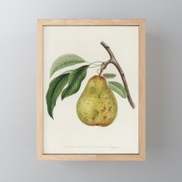 Pear Framed Mini Art Print