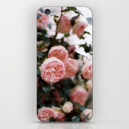 Pink Garden Roses iPhone Skin