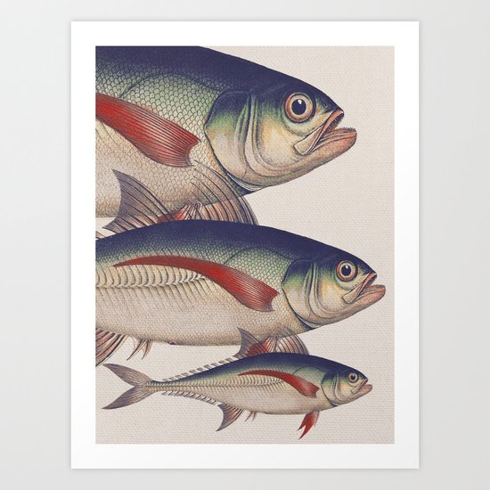 Fish Classic Designs 5 Art Print