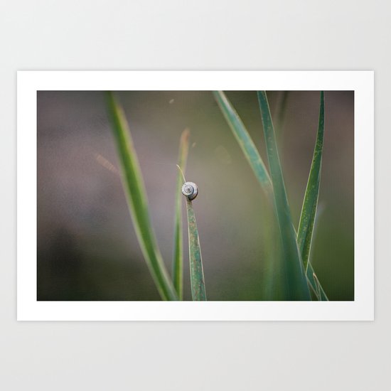 Taking it Slow Art Print