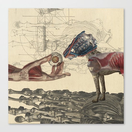 Canidae Canvas Print