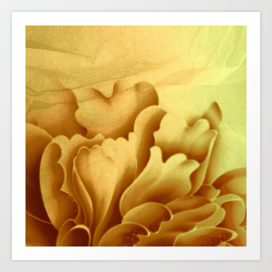 peach veiled flower Art Print