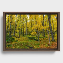 Fine Art Northern Michigan During Fall Photography Wall Decor Art Autumn Colored Leaves  Framed Canvas