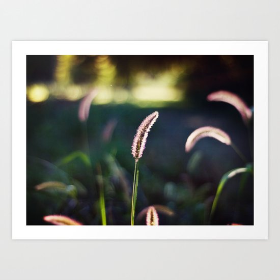 Autumn Grass II Art Print