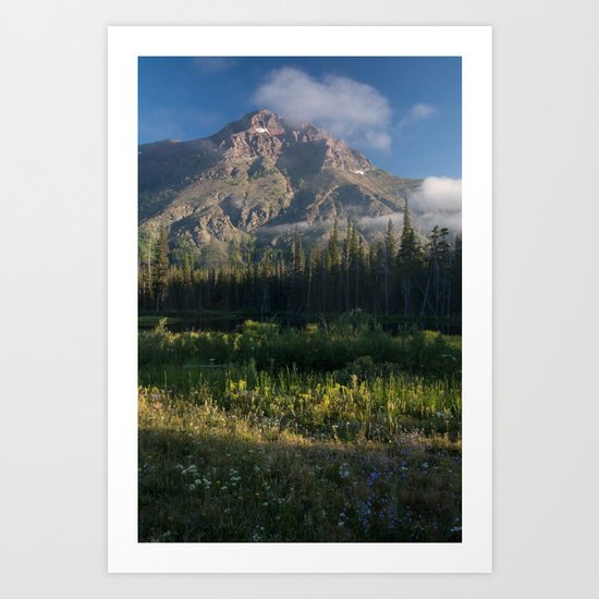 Meadow Art Print
