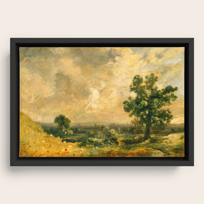 Framed Canvas