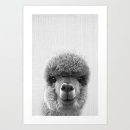Alpaca Smile Art Print