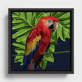 Parrot  Framed Canvas