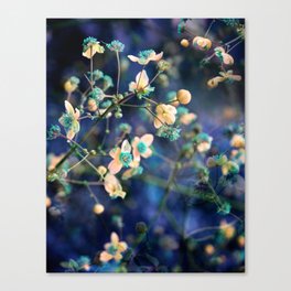 One Morning Canvas Print