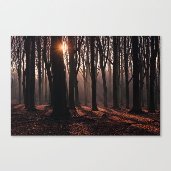 Up In The Woods Canvas Print