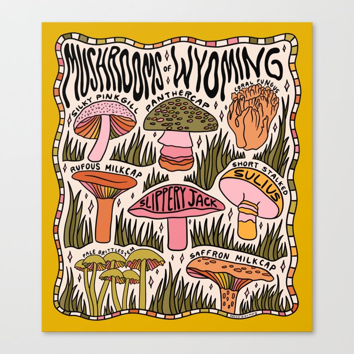 Mushrooms of Wyoming Canvas Print