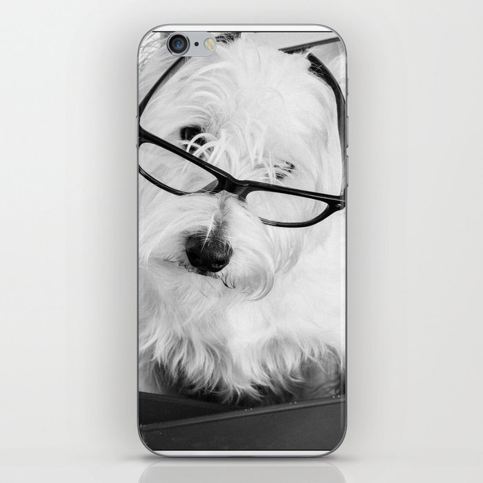 Really? Cute Westie Dog Wearing Glasses iPhone Skin