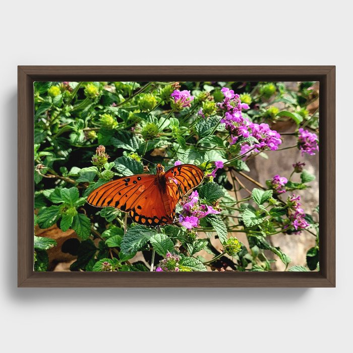 Vibrant Butterfly Framed Canvas