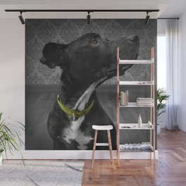 COBY (shelter pup) Wall Mural