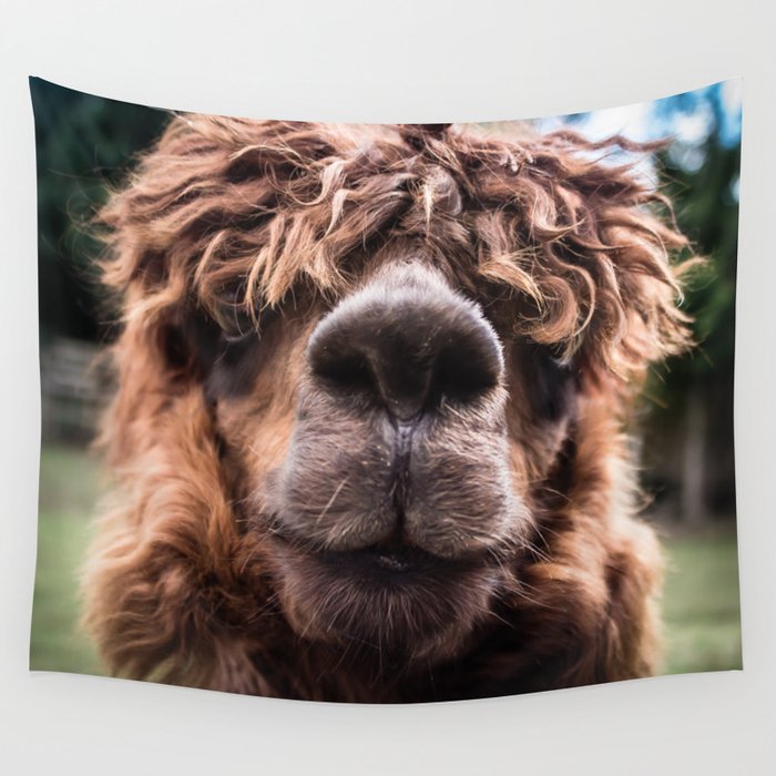 Curious Llama Wall Tapestry