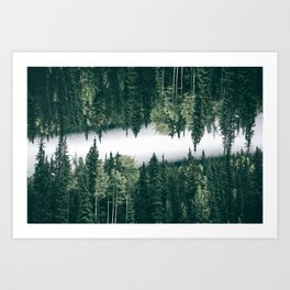 Forest Reflections VIII Art Print