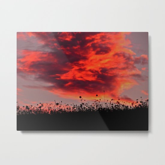 Sun Sets in the Field Metal Print