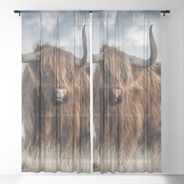 Scottish Highland Cow | Scottish Cattle | Cute Cow | Cute Cattle 06 Sheer Curtain