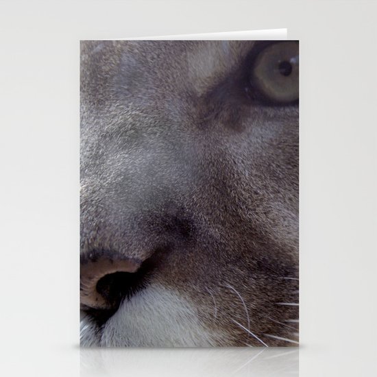 Cougar Stationery Cards