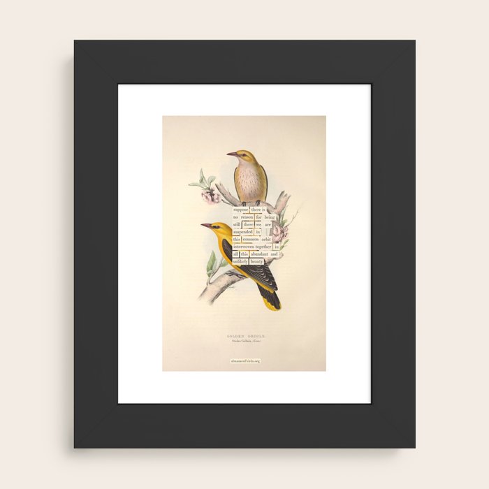 Framed Art Print