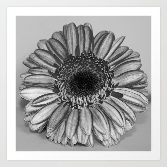 Floral amphitheatre Art Print