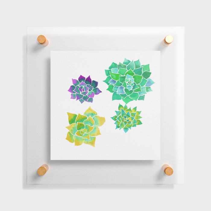 Succulents Floating Acrylic Print