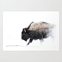 Prancing Buffalo Art Print