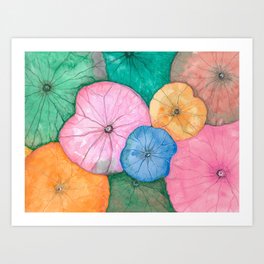 Color Water Lily Art Print