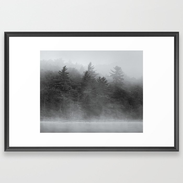 trees Framed Art Print