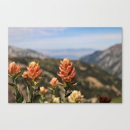 Valley behind the Flowers Canvas Print