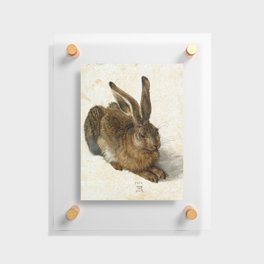 Albrecht Durer - Hare Floating Acrylic Print