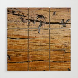 Natural wood background, wood slice and organic texture Wood Wall Art