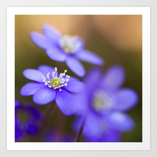 Happy Together Art Print