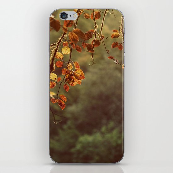 Esttralle part 1 iPhone Skin