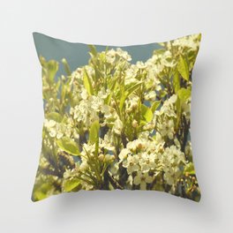 Scottish Highlands Cherry Blossom in the Sun Throw Pillow