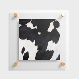 Black and white spotty cow faux fur Floating Acrylic Print