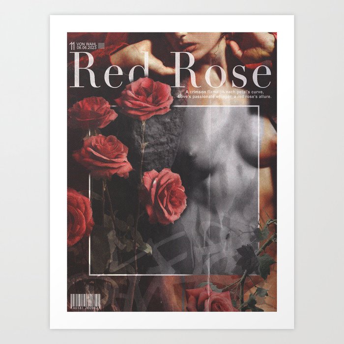 Red Rose Art Print