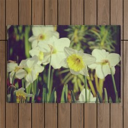 White yellow Narcissus or Daffodils - Botanical Photography Outdoor Rug