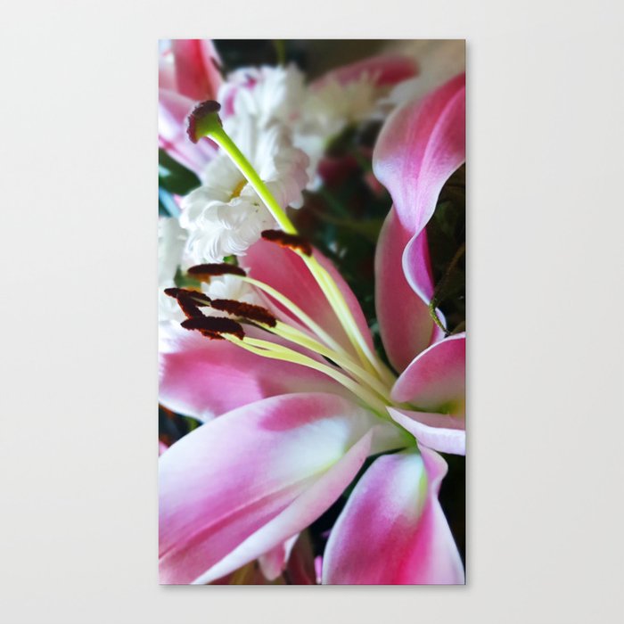 Celebration flowers #3 Pink lilies Canvas Print