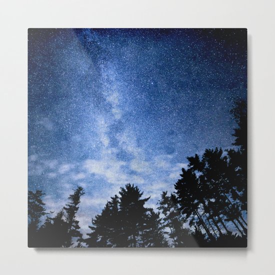 forest Metal Print