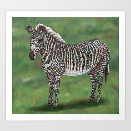 Zebra Art Print
