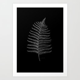 New Zealand Fern Leaf Art Print