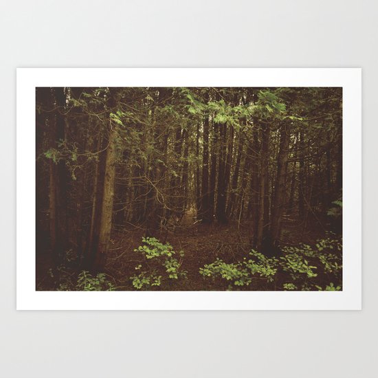 Into the Woods Art Print