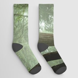 Redwood National Park - Misty Mountain Forest Adventure Socks