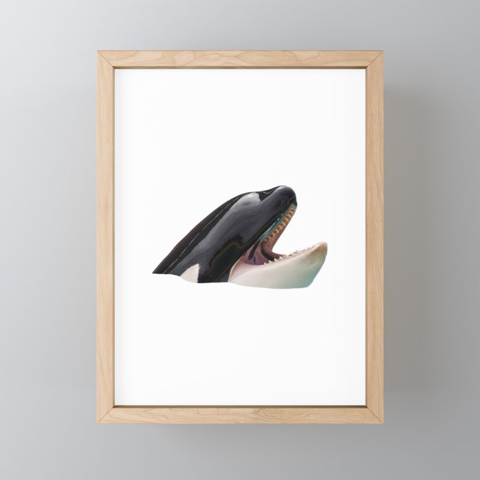 Orca Head Poking Out Of Water Framed Mini Art Print