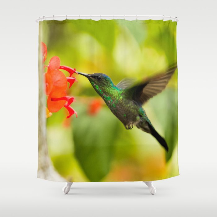 Brazil Photography - A Beautiful Green Humming Bird In Brazil Shower Curtain